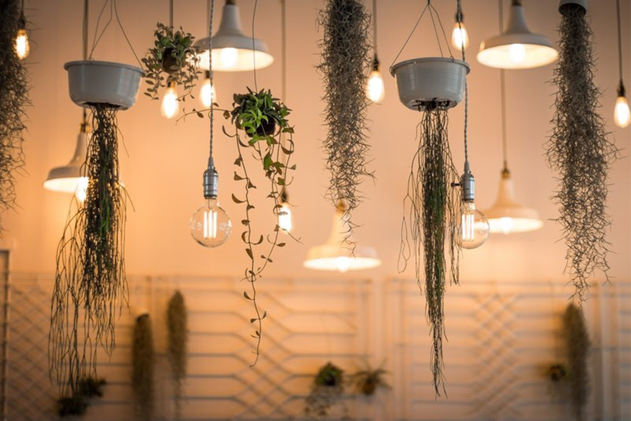 illuminazione giardino ed interni